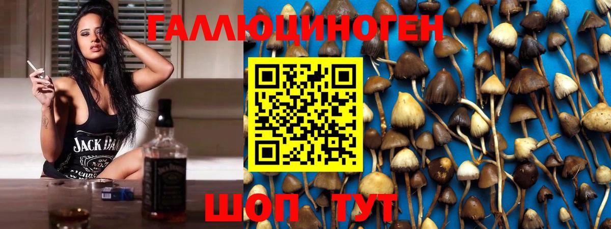 Галлюциногенные грибы MAGIC MUSHROOMS Пыть-Ях