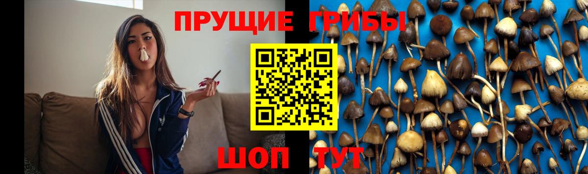 Псилоцибиновые грибы MAGIC MUSHROOMS  Вход с VPN  Пыть-Ях 
