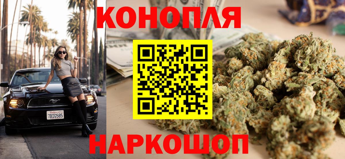 Шишки марихуана план  Вход с VPN  Марихуана Bruce Banner  Марихуана White Widow  Пыть-Ях 